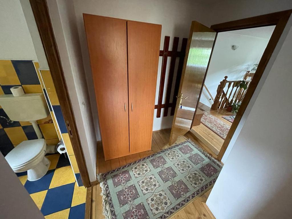 Pensiunea Gentiana Dornavátra Kültér fotó